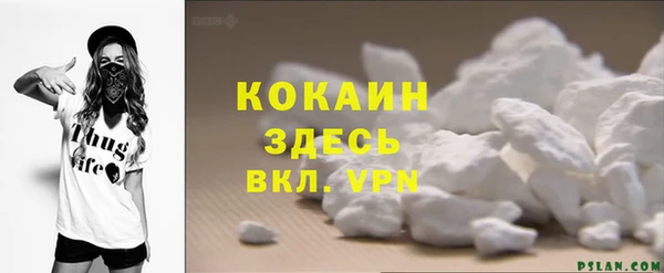 гашик Нея