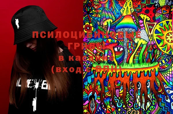 ECSTASY Новодвинск