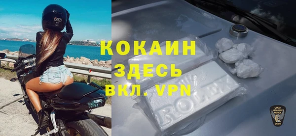 гашик Нея
