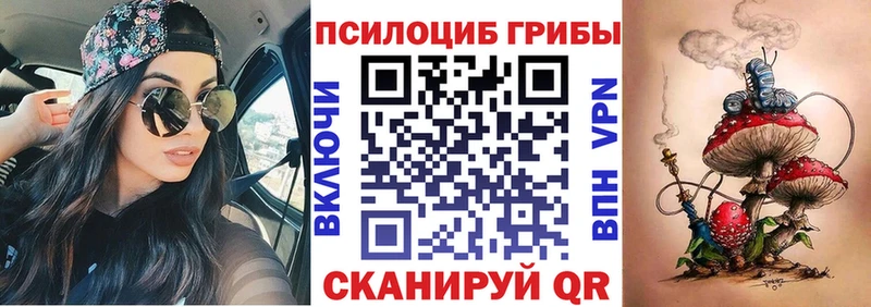 Галлюциногенные грибы GOLDEN TEACHER  KRAKEN ТОР  Магадан  продажа наркотиков 