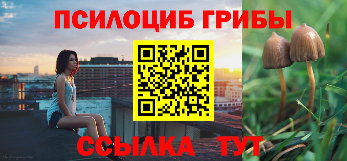 Магадан  Псилоцибиновые грибы Psilocybe  Вход с VPN 