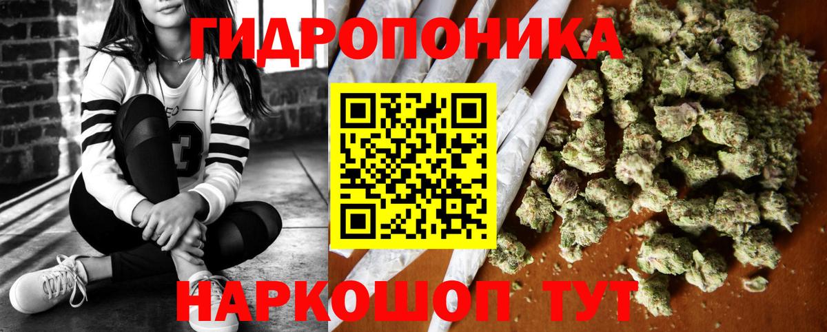МАРИХУАНА ГИДРОПОН  Вход с VPN  Магадан  Канабис план  Марихуана индика 